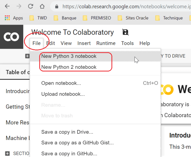 Colaboratory Notebook 1